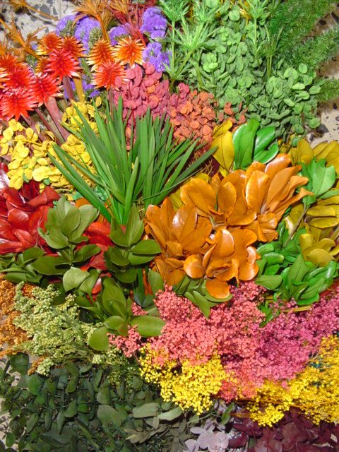 Helecho preservado para oficinas y hogares