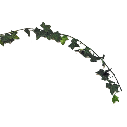 N-05-06 Tallo 512x512 Hiedra Helix