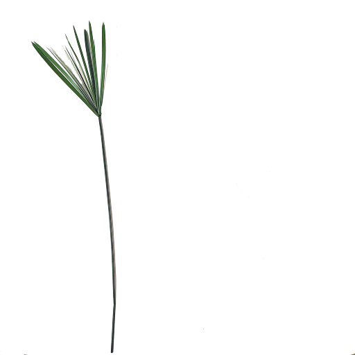 Follaje preservado para espacios comerciale