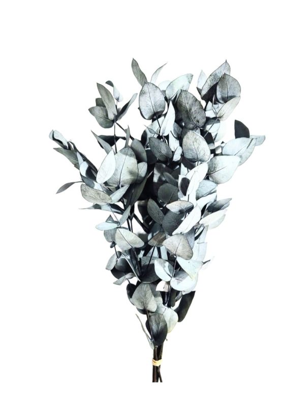 N-09-08 Ramo (1) Follaje preservado para espacios comerciale