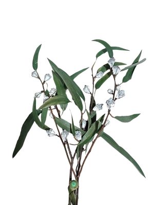 Follaje preservado para espacios comerciale