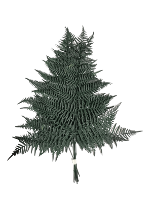 Decoración con follaje preservado para espacios comerciales