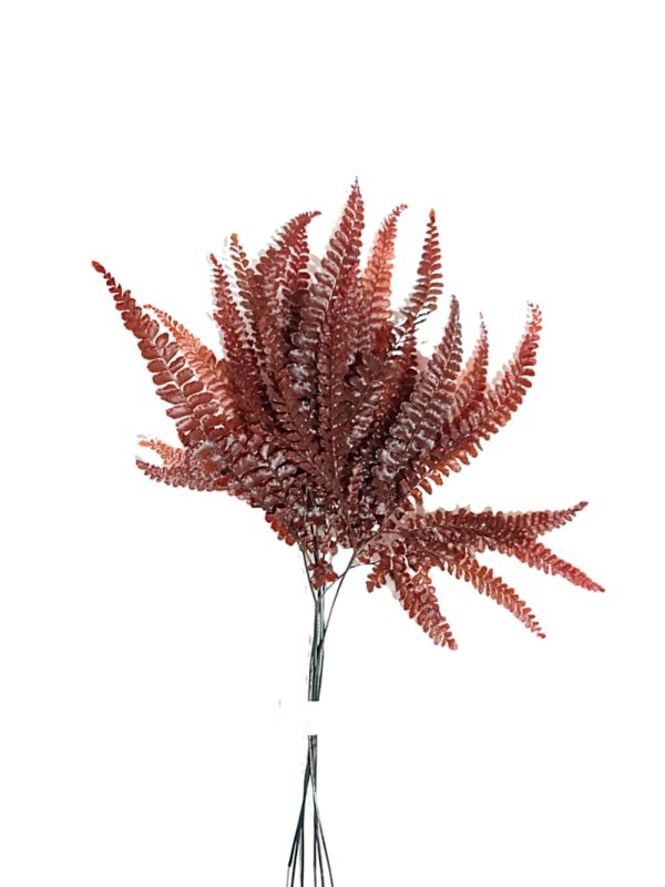 Helecho preservado para oficinas y hogares