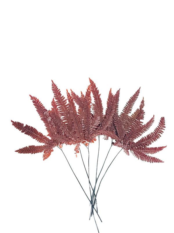 N-28-04 Tallos (1) Helecho preservado para oficinas y hogares