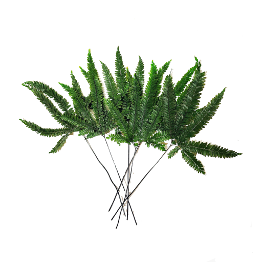 N-28-06 Tallos 512x512 Helecho preservado para oficinas y hogares