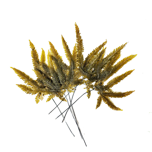 N-28-07 Tallos Helecho preservado para oficinas y hogares