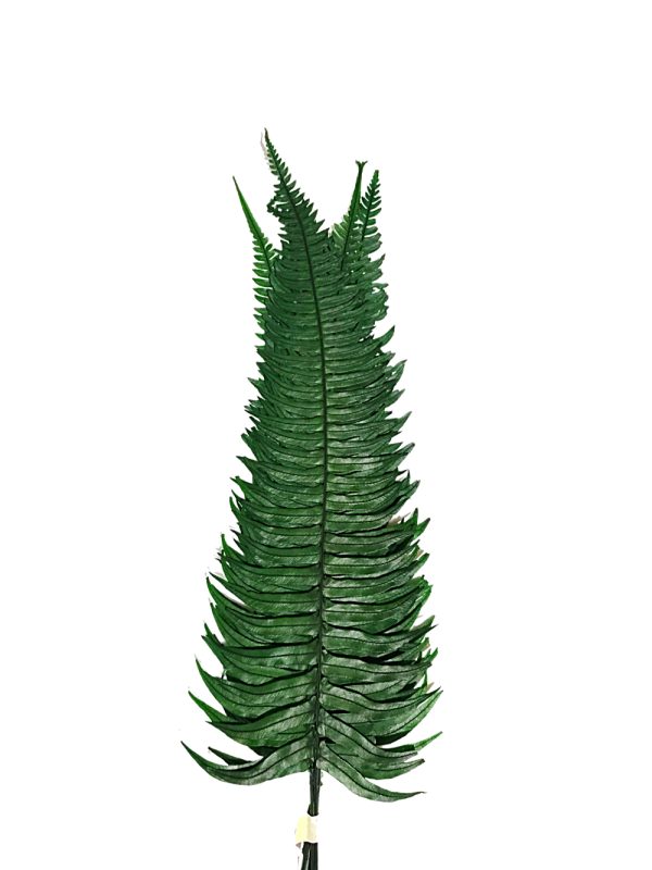 Helecho preservado para oficinas y hogares