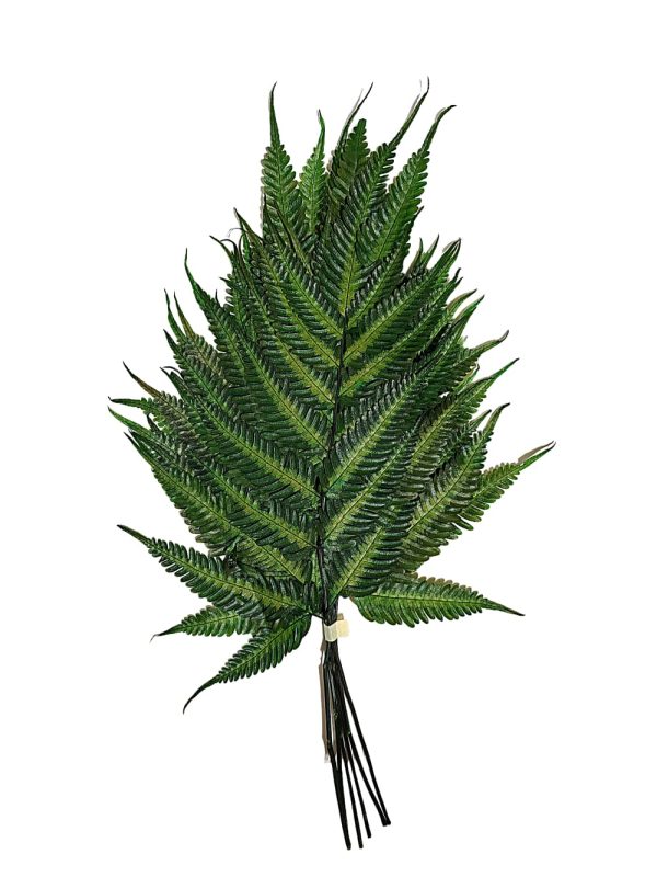 Follaje preservado para espacios comerciales