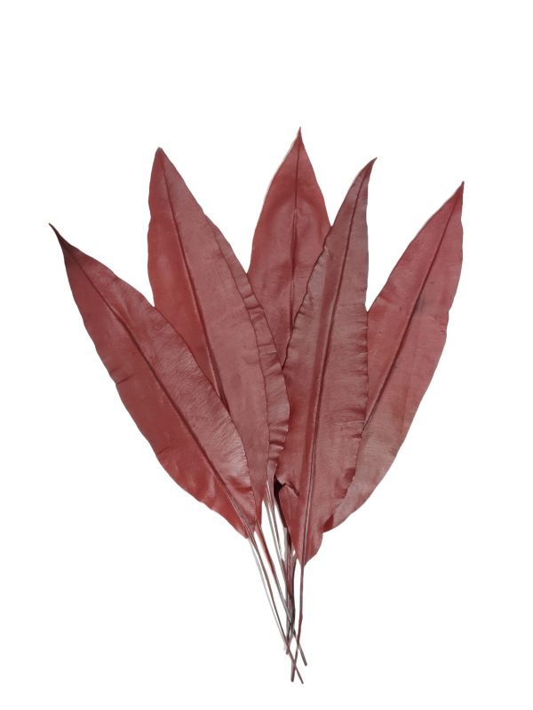 Follaje preservado para espacios comerciales