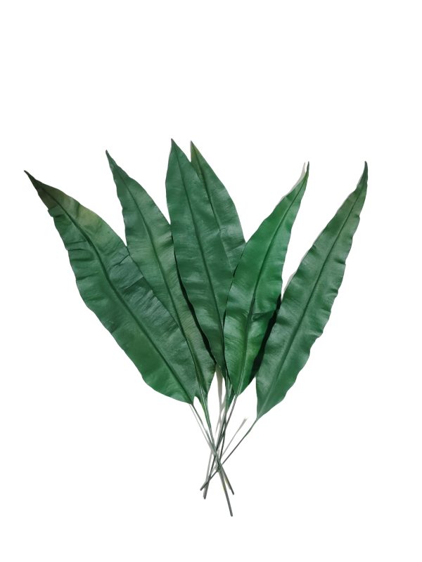 Follaje preservado para espacios comerciales