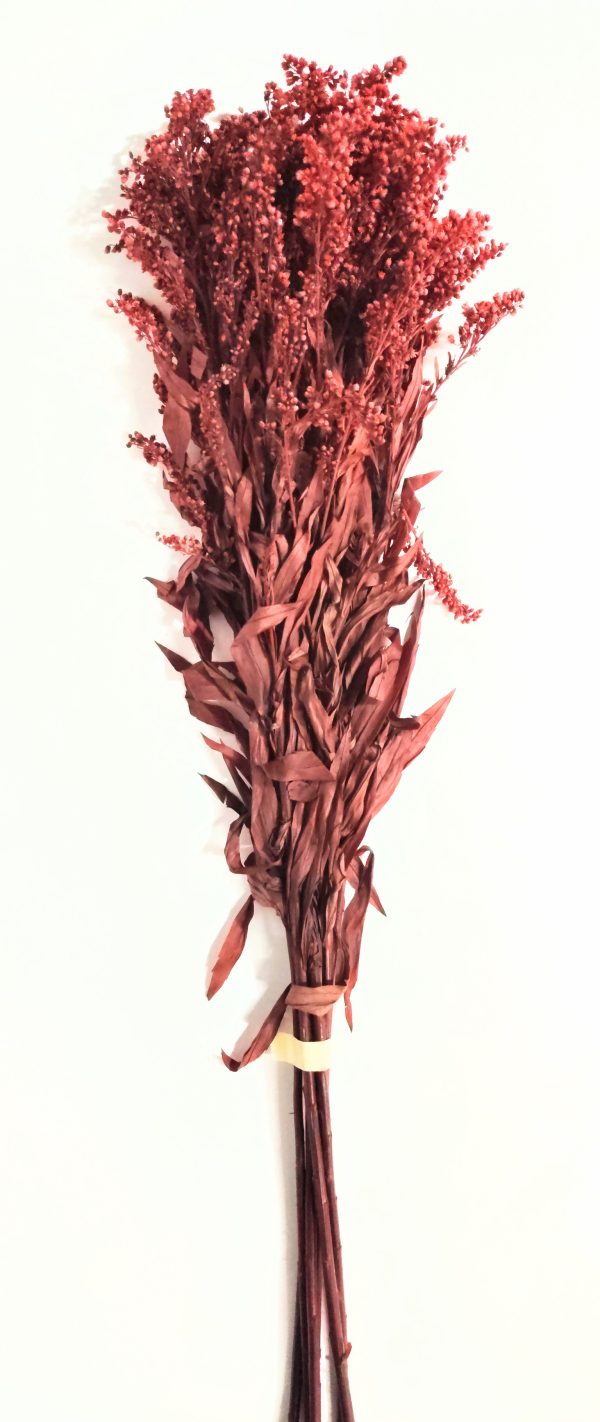 Helecho preservado para oficinas y hogares