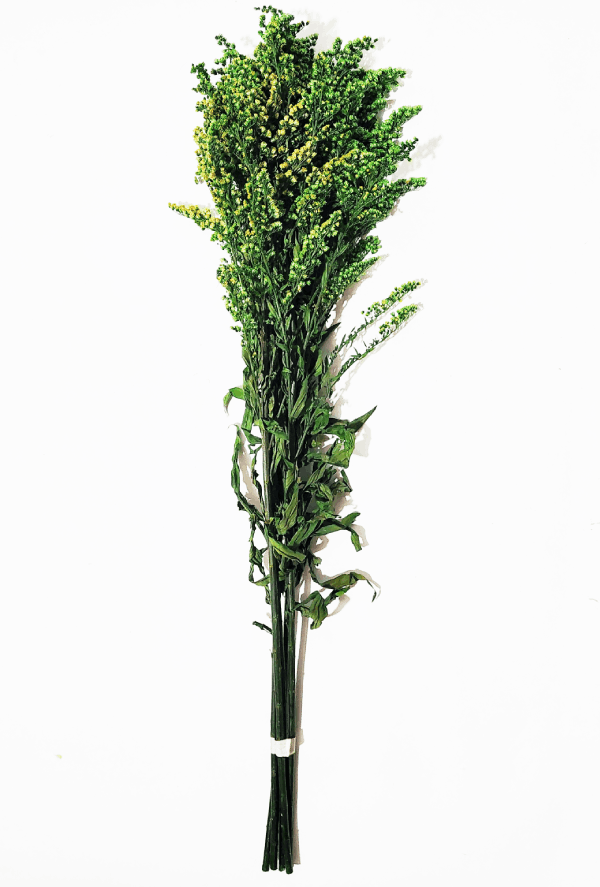 Decoración con follaje preservado para espacios comerciales