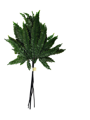 Sin título (31) Decoración con follaje preservado para espacios comerciales