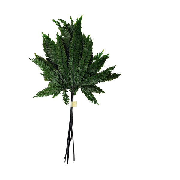 Sin título (31) Decoración con follaje preservado para espacios comerciales