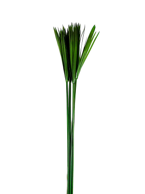 Sin título (32) (1) Decoración con follaje preservado para espacios comerciales