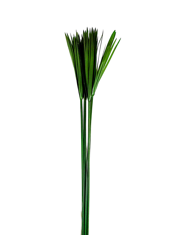 Decoración con follaje preservado para espacios comerciales